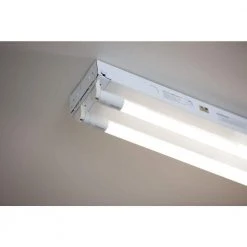 32W Equivalent 4 ft. Cool White Linear T8 Type A LED Tube Light Bulb by Philips -Philips Lighting Shop frosted philips led tube lights 472878 fa 1000