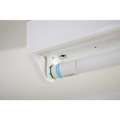 32W T8/40W T12 Equivalent 4 ft. Type A Linear Universal Fit Cool White LED Tube Light Bulb (4000K) (2-Pack) by Philips 27 32W T8/40W T12 Equivalent 4 ft. Type A Linear Universal Fit Cool White LED Tube Light Bulb (4000K) (2-Pack) by Philips -Philips Lighting Shop frosted philips led tube lights 539155 76 1000