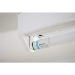 32W T8/40W T12 Equivalent 4 ft. Type A Linear Universal Fit Daylight LED Tube Light Bulb (5000K) (2-Pack) by Philips 27 32W T8/40W T12 Equivalent 4 ft. Type A Linear Universal Fit Daylight LED Tube Light Bulb (5000K) (2-Pack) by Philips -Philips Lighting Shop frosted philips led tube lights 539163 31 1000