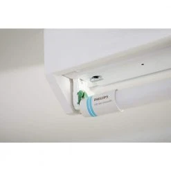 32W T8/40W T12 Equivalent 4 ft. Type A Linear Universal Fit Daylight LED Tube Light Bulb (5000K) (2-Pack) by Philips 23 32W T8/40W T12 Equivalent 4 ft. Type A Linear Universal Fit Daylight LED Tube Light Bulb (5000K) (2-Pack) by Philips -Philips Lighting Shop frosted philips led tube lights 539163 4f 1000