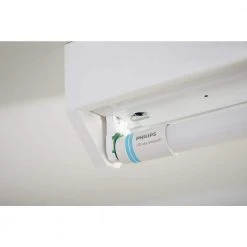 32W T8/40W T12 Equivalent 4 ft. Type A Linear Universal Fit Daylight LED Tube Light Bulb (6500K) (2-Pack) by Philips -Philips Lighting Shop frosted philips led tube lights 539171 76 1000