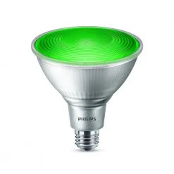 90-Watt Equivalent PAR 38 LED Flood in Green by Philips