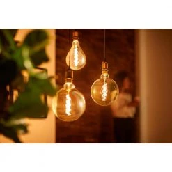 40-Watt Equivalent A50 Dimmable Vintage Glass Edison LED Large Light Bulb Amber Warm White (2000K) by Philips 16 40-Watt Equivalent A50 Dimmable Vintage Glass Edison LED Large Light Bulb Amber Warm White (2000K) by Philips -Philips Lighting Shop philips edison bulbs 536276 a0 1000