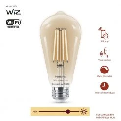 Soft White ST19 LED 40W Equivalent Dimmable Smart Wi-Fi Wiz Connected Wireless Light Bulb by Philips -Philips Lighting Shop philips edison bulbs 555557 1f 1000