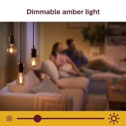 Amber ST19 LED 40-Watt Equivalent Dimmable Smart Wi-Fi Wiz Connected Wireless Light Bulb by Philips -Philips Lighting Shop philips edison bulbs 555565 1d 1000