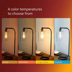 25-Watt Equivalent B11 Spiral Filament E12 Base LED Vintage Edison LED Light Bulb 2000K Amber (2-Pack) by Philips 15 25-Watt Equivalent B11 Spiral Filament E12 Base LED Vintage Edison LED Light Bulb 2000K Amber (2-Pack) by Philips -Philips Lighting Shop philips edison bulbs 565804 1d 1000