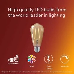 75-Watt Equivalent ST19 Glass Dimmable E26 Vintage Edison LED Light Bulb Amber 2000K (2-Pack) by Philips -Philips Lighting Shop philips edison bulbs 565969 76 1000