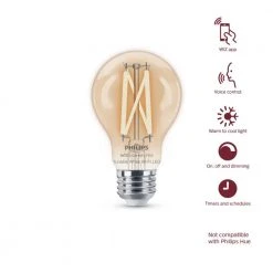 Tunable White A19 60W Equivalent Dimmable Smart Wi-Fi WiZ Connected Vintage Edison LED Light Bulb by Philips -Philips Lighting Shop philips edison bulbs 567164 44 1000