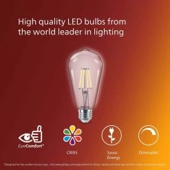 40-Watt Equivalent ST19 Clear Glass Dimmable E26 Vintage Edison LED Light Bulb Soft White 2700K (4-Pack) by Philips 20 40-Watt Equivalent ST19 Clear Glass Dimmable E26 Vintage Edison LED Light Bulb Soft White 2700K (4-Pack) by Philips -Philips Lighting Shop philips edison bulbs 573989 76 1000