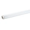 18 in. 15-Watt 4100K Linear T8 Fluorescent Light Bulb Cool White (30-Pack) by Philips -Philips Lighting Shop philips fluorescent tube lights 392076 64 1000 1