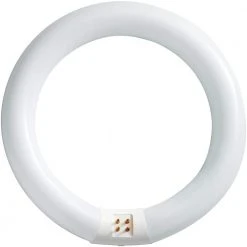 22-Watt 8 in. Linear T9 Fluorescent Tube Light Bulb Daylight Deluxe (6500K) Circline by Philips 13 22-Watt 8 in. Linear T9 Fluorescent Tube Light Bulb Daylight Deluxe (6500K) Circline by Philips -Philips Lighting Shop philips fluorescent tube lights 392357 76 1000