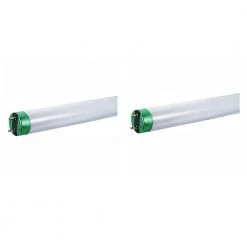 32-Watt 4 ft. Linear T8 Type A ALTO Fluorescent Tube Light Bulb Daylight (5000K) (2-Pack) by Philips