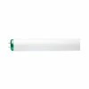 40-Watt 4 ft. Linear T12 ALTO Fluorescent Tube Light Bulb Cool White (4100K) (2-Pack) by Philips -Philips Lighting Shop philips fluorescent tube lights 543421 64 1000