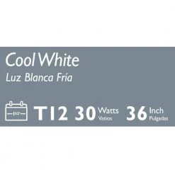 30-Watt 3 ft. Linear T12 ALTO Fluorescent Tube Light Bulb Cool White (4100K) by Philips -Philips Lighting Shop philips fluorescent tube lights 543462 4f 1000