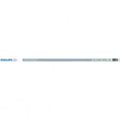 13-Watt 21 in. Linear T5 Fluorescent Tube Light Bulb Cool White (4100K) by Philips -Philips Lighting Shop philips fluorescent tube lights 546499 1f 1000
