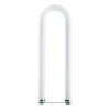 40-Watt 4 ft. U-Bent Linear T12 Fluorescent Tube Light Bulb Cool White Supreme (4100K) (1-Bulb) by Philips -Philips Lighting Shop philips fluorescent tube lights 562958 64 1000