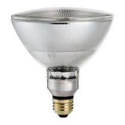 39-Watt Equivalent Halogen PAR38 Dimmable Indoor/Outdoor Floodlight Bulb by Philips