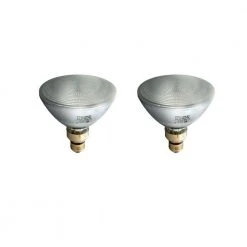 72-Watt PAR38 Dimmable Indoor/Outdoor Halogen Flood Light Bulb (2-Pack) by Philips