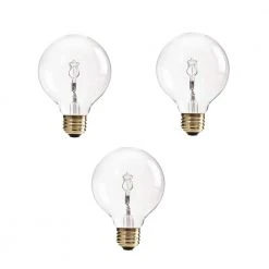 60-Watt Equivalent G25 Halogen Clear Decorative Globe Light Bulb (3-Pack) by Philips