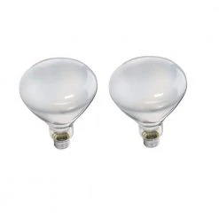 65-Watt BR40 Incandescent DuraMax Indoor Flood Light Bulb (2-Pack) by Philips