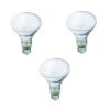 65-Watt BR30 Incandescent DuraMax Dimmable Flood Light Bulb (3-Pack) by Philips