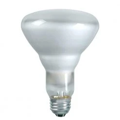 65-Watt BR30 Incandescent DuraMax Dimmable Flood Light Bulb (3-Pack) by Philips -Philips Lighting Shop philips incandescent light bulbs 223040 77 1000