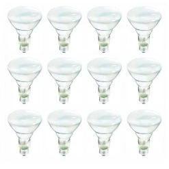 65-Watt Incandescent BR30 Flood Light Bulb Soft White (2700K) (12-Pack) by Philips