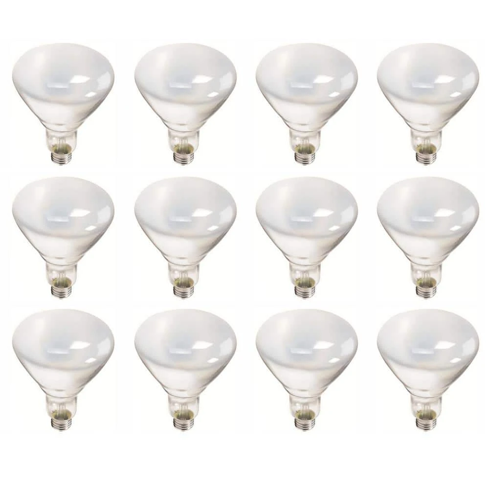 65-Watt BR40 Incandescent Flood Light Bulb Soft White (2700K) (12-Pack) by Philips 3 65-Watt BR40 Incandescent Flood Light Bulb Soft White (2700K) (12-Pack) by Philips