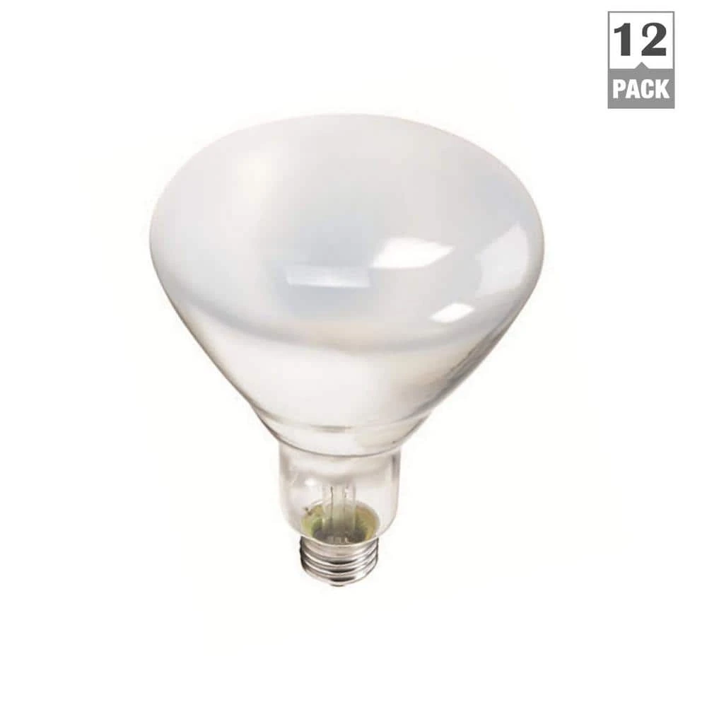 65-Watt BR40 Incandescent Flood Light Bulb Soft White (2700K) (12-Pack) by Philips 8 65-Watt BR40 Incandescent Flood Light Bulb Soft White (2700K) (12-Pack) by Philips - Image 6