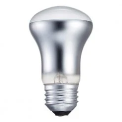 40-Watt R16 Incandescent Spot Light Bulb Soft White (2700K) by Philips