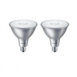 90-Watt Equivalent PAR38 LED Glass Indoor/Outdoor Daylight Classic (2-Pack) by Philips