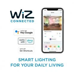 Daylight A21 LED 100W Equivalent Dimmable Smart Wi-Fi Wiz Connected Wireless LED Light Bulb by Philips -Philips Lighting Shop philips led light bulbs 562389 44 1000
