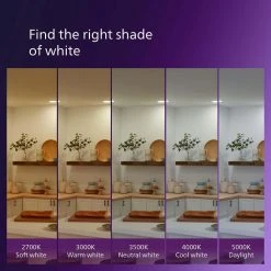 40-Watt Equivalent Ultra Definition G16.5 Clear Glass Dimmable E26 LED Light Bulb Soft White Warm Glow 2700K (2-Pack) by Philips 21 40-Watt Equivalent Ultra Definition G16.5 Clear Glass Dimmable E26 LED Light Bulb Soft White Warm Glow 2700K (2-Pack) by Philips -Philips Lighting Shop philips led light bulbs 573295 d4 1000